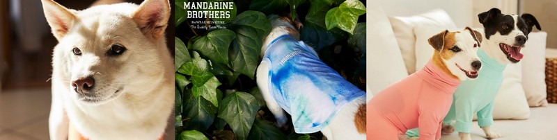 �@�\��,�y�b�g�p�i�w�}���_�����u���U�[�Y�x���T�C�g